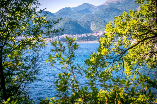 Pohled na pláž Milocer mezi stromy a trávou při východu slunce. Jehličnaté větve se zavírají. Budva. Černá — Stock fotografie