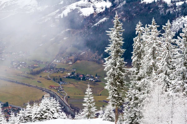 冬季风景与云杉树木被雪覆盖。奥地利阿尔卑斯山，靠近巴达盖斯坦 — 图库照片