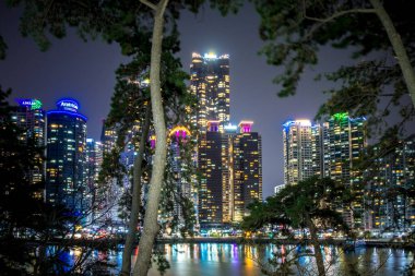 Busan, Güney Kore - 29 Mart 2018: Gece manzarası. Parkın ağaçlarının arasından evlere bak.