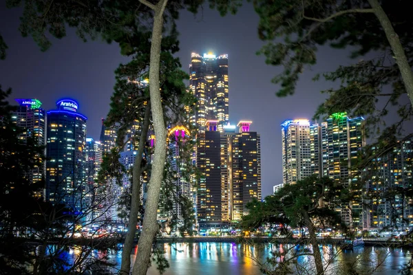 BUSAN, SOUTH KOREA - MARCH 29, 2018: night cityscape. View of the houses through the trees of the park — Stock Photo, Image