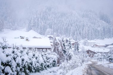 Avusturya 'nın Stubai Vadisi' ndeki Neustift kasabasında kış manzarası. Şiddetli kardan sonra karla kaplı ağaçlar