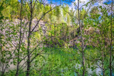 Çatlaklar ile mermer kaya. Mermer beyaz ve gri lekelerde. Ormanın etrafında. Ruskeala, Karelia