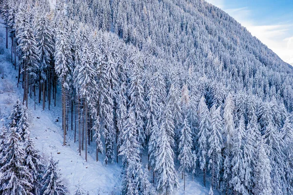 Prachtig winterlandschap met besneeuwde bomen in het Stubai-dal, Tirol, Oostenrijk — Stockfoto