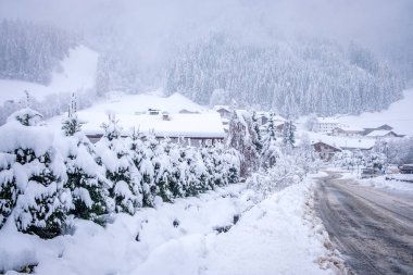 Avusturya 'nın Stubai Vadisi' ndeki Neustift kasabasında kış manzarası. Şiddetli kardan sonra karla kaplı ağaçlar