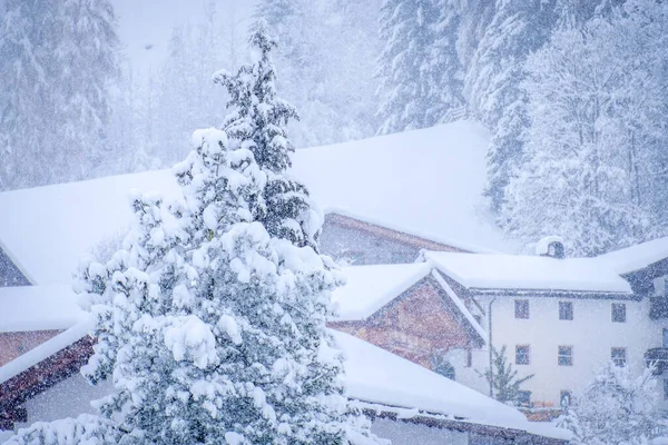 Paisagem de inverno na cidade de Neustift, no Vale do Stubai, na Áustria. Vista de uma típica casa austríaca através de galhos de árvores — Fotografia de Stock