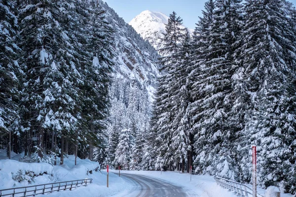 冬天的景色是雪地的森林,松树高耸,道路宽阔. Stubaital，Tirol，奥地利 — 图库照片