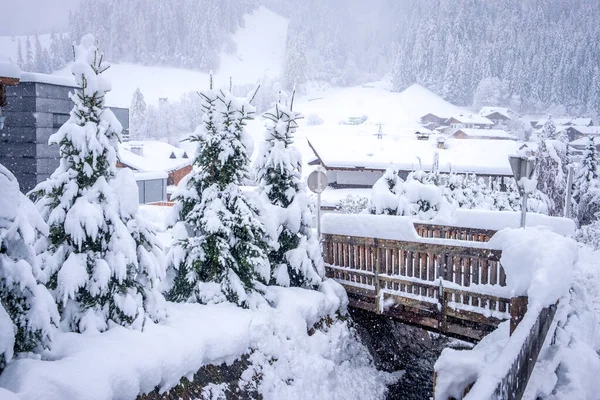 Vinterlandskap i staden Neustift i Stubai Valley i Österrike. Snötäckta träd efter tung snö — Stockfoto