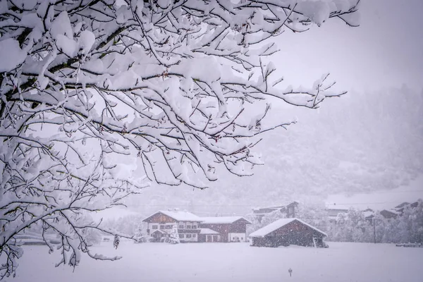 Vinterlandskap i staden Neustift i Stubai Valley i Österrike. Utsikt över ett typiskt australiskt hus genom trädgrenar — Stockfoto