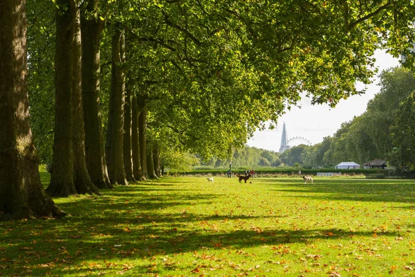 Hyde park en otoño, Londres —  Fotos de Stock