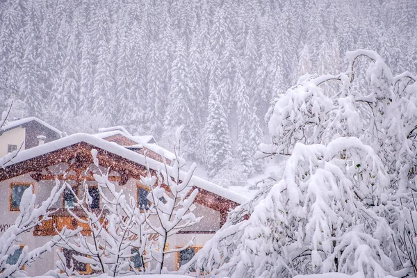 Paisagem de inverno na cidade de Neustift, no Vale Stubai, na Áustria. Casa tirolesa em meio a neve pesada e abetos — Fotografia de Stock