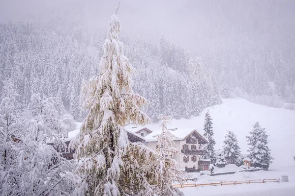 Vinterlandskap i staden Neustift i Stubai Valley i Österrike. Snöiga träd efter kraftigt snöfall — Stockfoto