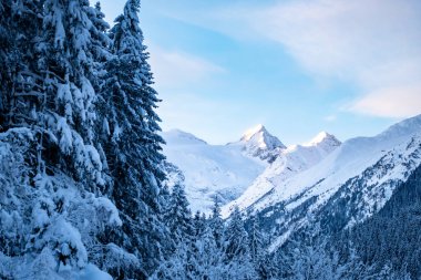 Stubai Vadisi, Tirol, Avusturya 'da karla kaplı ağaçlar ve dağlarla güzel kış manzarası