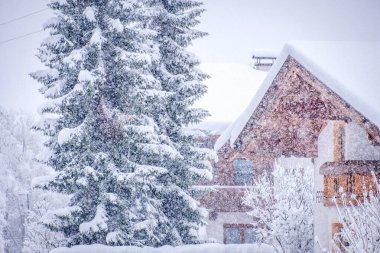 Avusturya 'nın Stubai Vadisi' ndeki Neustift kasabasında kış manzarası. Şiddetli kar ve köknar ağaçları arasında Tyrolean evi