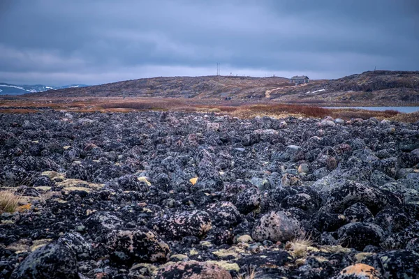 Grandes pierres rondes taillées sur la côte de la mer de Barents, recouvertes d'algues brunes . — Photo