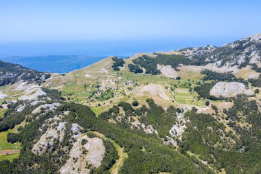 Karadağ Dağları. Yeşil orman ve sis