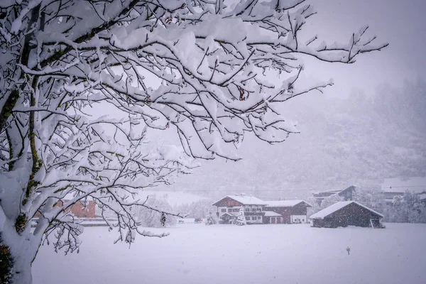 Vinterlandskap i staden Neustift i Stubai Valley i Österrike. Utsikt över ett typiskt australiskt hus genom trädgrenar — Stockfoto