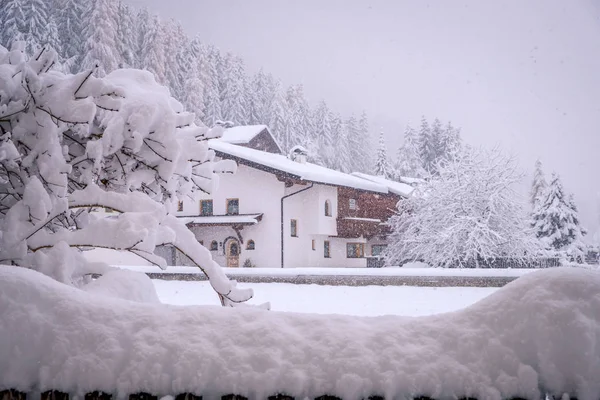 Vinterlandskap i staden Neustift i Stubai Valley i Österrike. Utsikt över ett typiskt australiskt hus genom trädgrenar — Stockfoto