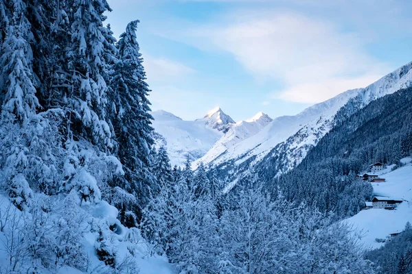 奥地利蒂罗尔Stubai山谷美丽的冬季风景，冰雪覆盖的树木和山脉 — 图库照片