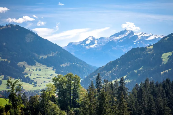 Sommarmyontain landskap i Chateau D 'Oex, Schweiz — Stockfoto