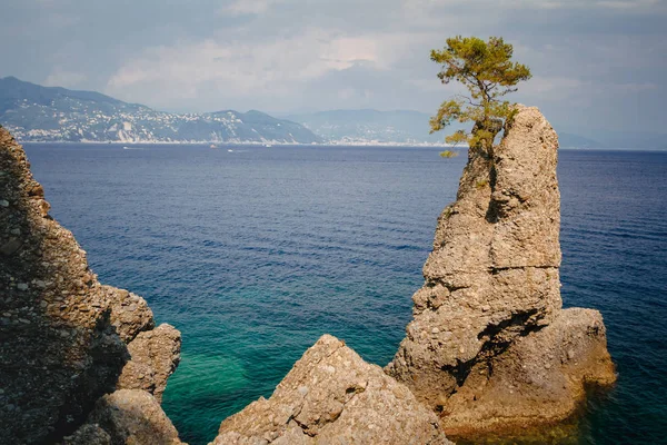 Paisagem de verão na costa da Ligúria, na Itália, perto de Portofino e Santa Margherita Ligure — Fotografia de Stock