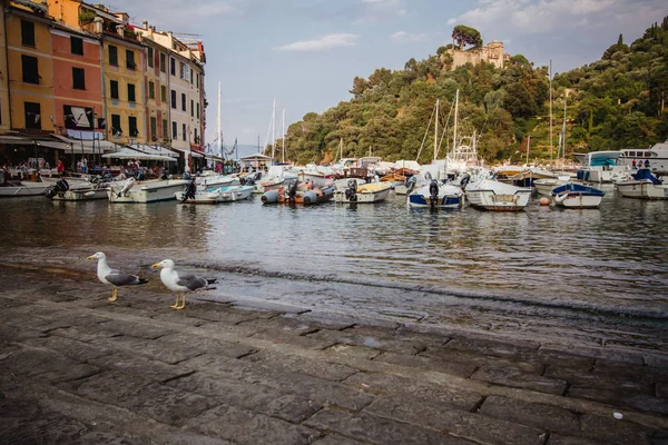 Portofino, een Italiaanse vissersdorp in de gemeente, de provincie Genua, Italië. Een vakantie resort met een schilderachtige haven en beroemdheid en artistieke bezoekers. — Stockfoto