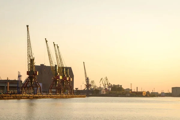 Oroszország, Kalinyingrád, daruk felhúzása a kereskedelmi kikötőben naplementekor — Stock Fotó