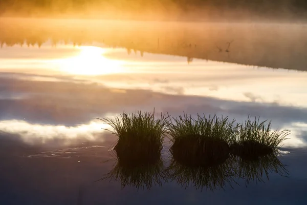 Russische Nordlandschaft. kola Halbinsel, die Arktis. Gebiet Murmansk. Sumpf mit Morgennebel bei Sonnenaufgang — Stockfoto