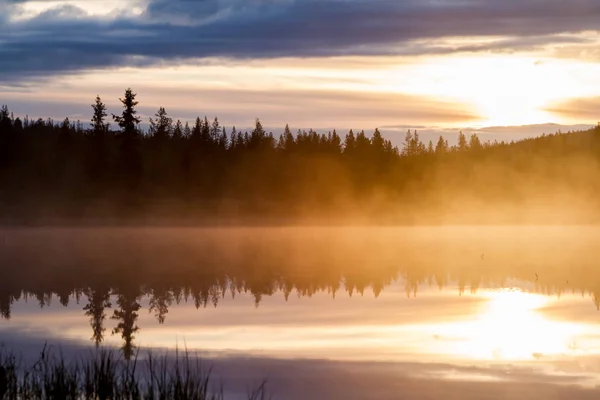 Paisaje norte ruso. Península de Kola, el Ártico. Región de Murmansk. Pantano con neblina matutina al amanecer —  Fotos de Stock