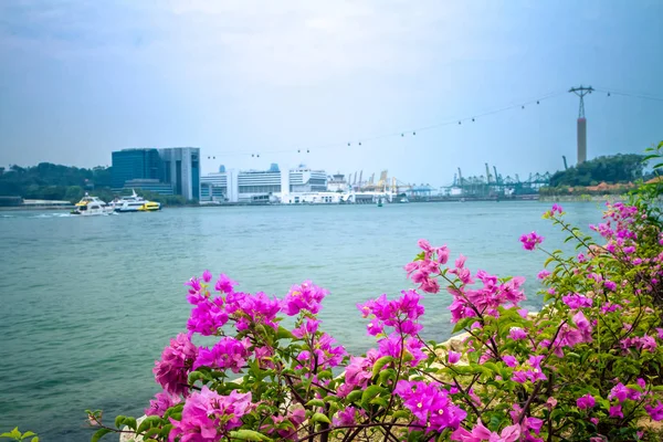 Panorama di Singapore dall'isola di Sentosa — Foto Stock