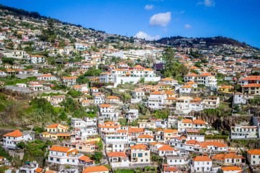 Funchal, küçük evler, Madeira Adası, Portekiz