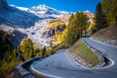 Dolomites Dağları, Güney Tyrol 'daki Passo Stelvio vadisinde sonbahar manzarası Stelvio Ulusal Parkı, Alpler, kuzey İtalya, Avrupa. Keskin bir dönüş.