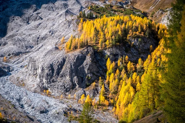 Panorámás őszi jelenet az Ortlergruppe Val Venosta, Alto Adige. Mountainbiking a Stelvio Nemzeti Parkban az ösvény neve Goldsee Trail. Passo allo Stelvio vagyok. — Stock Fotó