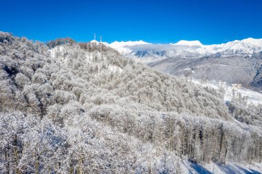 Rusya 'nın Sochi kentindeki Rosa Khutor kayak merkezindeki Kış Dağı manzarası. Karla kaplı ağaçlar, mavi gökyüzü ve karla kaplı dağlar.