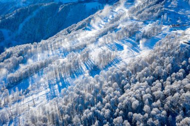 Winter Mountain landscape at the Rosa Khutor ski resort in Sochi, Russia. Trees in hoarfrost against a beautiful morning sky in a frosty morning. Snow cannons sprinkle snow on the slopes clipart