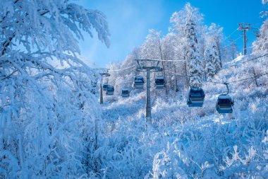 Winter Mountain landscape at the Rosa Khutor ski resort in Sochi, Russia. Cable car cabin over pine trees in the snow clipart