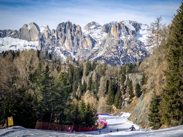 Winterlandschaft Skigebiet Val Fassa Grüne Fichten Und Dolomiten Italien — Stockfoto