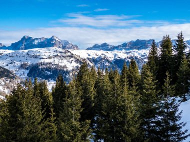 Güneşli bir kış gününde, bir sandalyeden yükselen kozalaklı orman ve dağların manzarası. Dolomites dağlarında kayak merkezi Arabba. Passo Pordoi geçidi. , İtalya