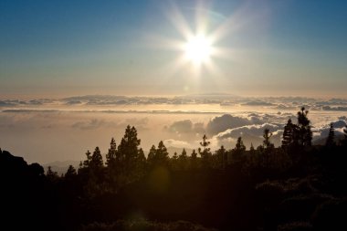 Teide Ulusal Parkı Günbatımı, Tenerife. Güneş ufukta bulutların üzerinde batıyor, çam ağaçları ve dağların siluetleri.