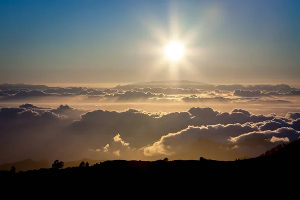 Национальный парк Тейде Сансет, Тенерифе. Солнце садится на облака над горизонтом, силуэты сосен и гор — стоковое фото