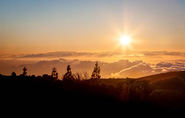 Teide Nationalpark Sonnenuntergang, Teneriffa. Die Sonne geht unter an den Wolken über dem Horizont, Silhouetten von Kiefern. — Stockfoto