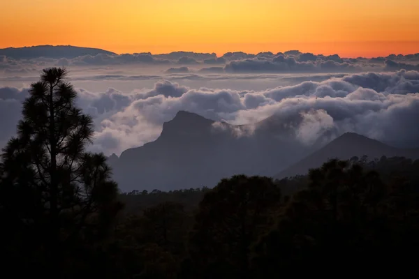 テネリフェ島のTeide National Park Sunset テネリフェ島 太陽は地平線の上の雲に沈み 松の木のシルエットは — ストック写真