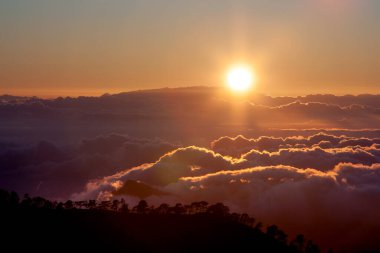 Teide Ulusal Parkı Günbatımı, Tenerife. Güneş ufukta bulutların üzerinde batıyor, çam ağaçlarının siluetleri.