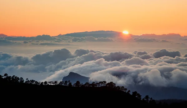 Teide Ulusal Parkı Günbatımı, Tenerife. Güneş ufukta bulutların üzerinde batıyor, çam ağaçlarının siluetleri.