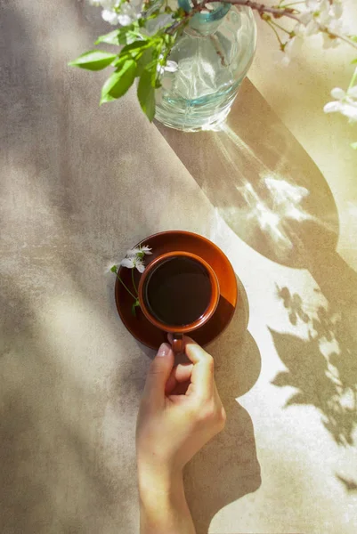 A mug of coffee in a woman hand in sun ligh. A cup of coffee and a plate with a flowering cherry branch in glass vase on the grey texture background. Copy of space. Top view