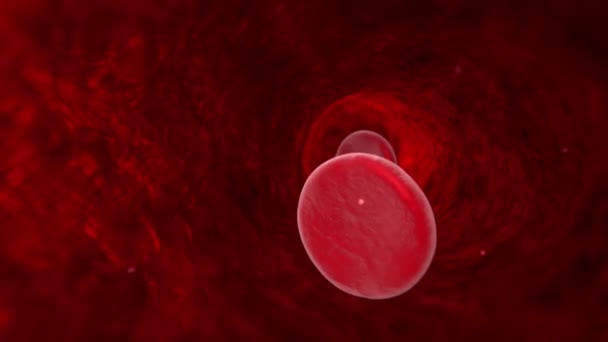 Клетки крови (вены, артерии, капилляры). 3D анимация — стоковое видео