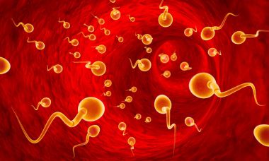 Hayatta kalmak için mücadele. Sperm hücreleri rekabet. Sperm fallop tüpleri ile hareket. Sperm, gübreleme. 3D çizim.
