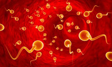 Fight for survival. Competing spermatozoa. Movement of spermatozoa through the fallopian tubes. Sperm, fertilization. 3D illustration. clipart