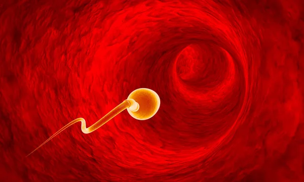 Sperm fallop tüpleri ile hareket. Sperm, gübreleme. 3D çizim