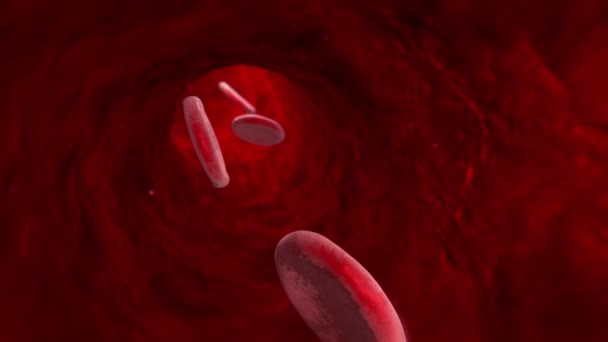 Кров'яні клітини (гілки, артерії, капіляри). 3D анімація — стокове відео