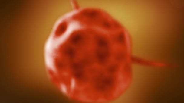 Ογκολογία. Η μετάλλαξη κυττάρων (ιός του Ζήκα, ιός Έμπολα, Aids). 3D animation — Αρχείο Βίντεο